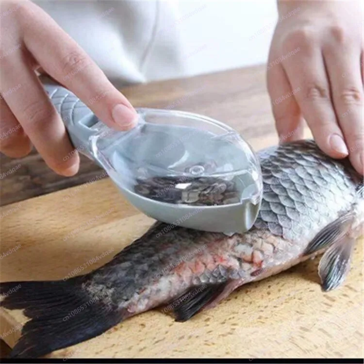 Kitchen Gadgets Popular - Artefacto de raspado de escamas de